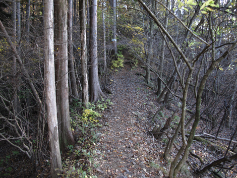 20181115hike (320)